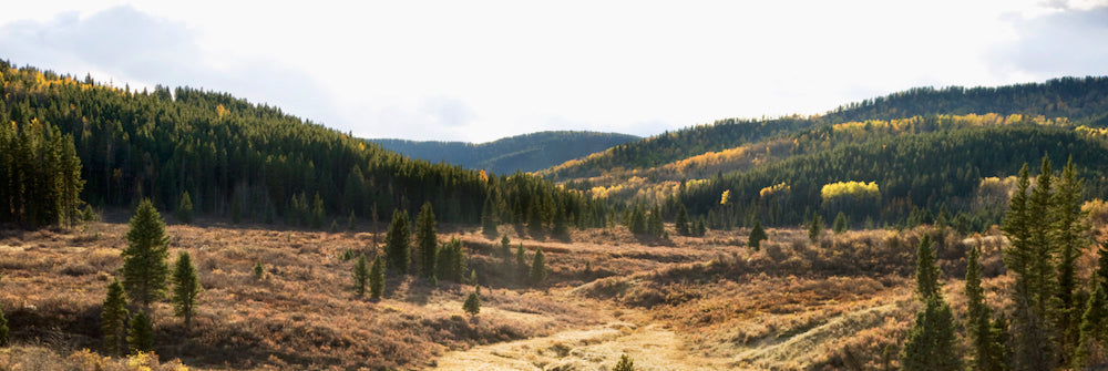 Canadian Prairie