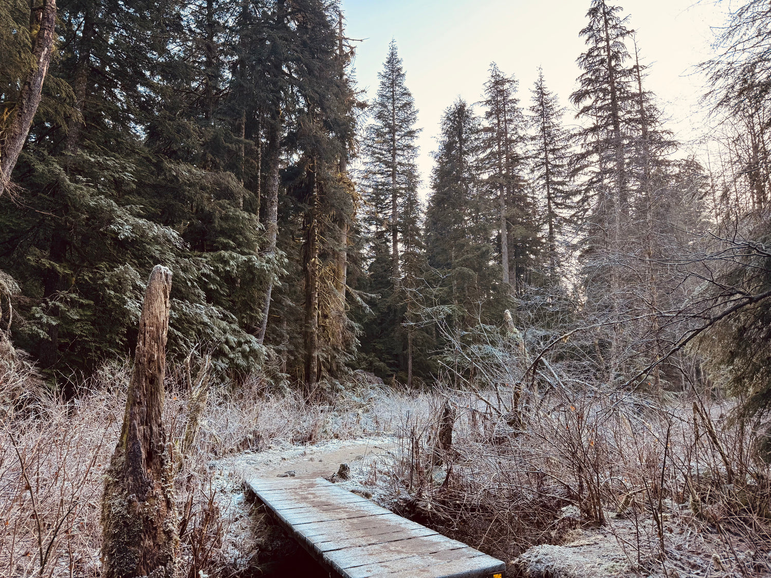 Norvan Falls