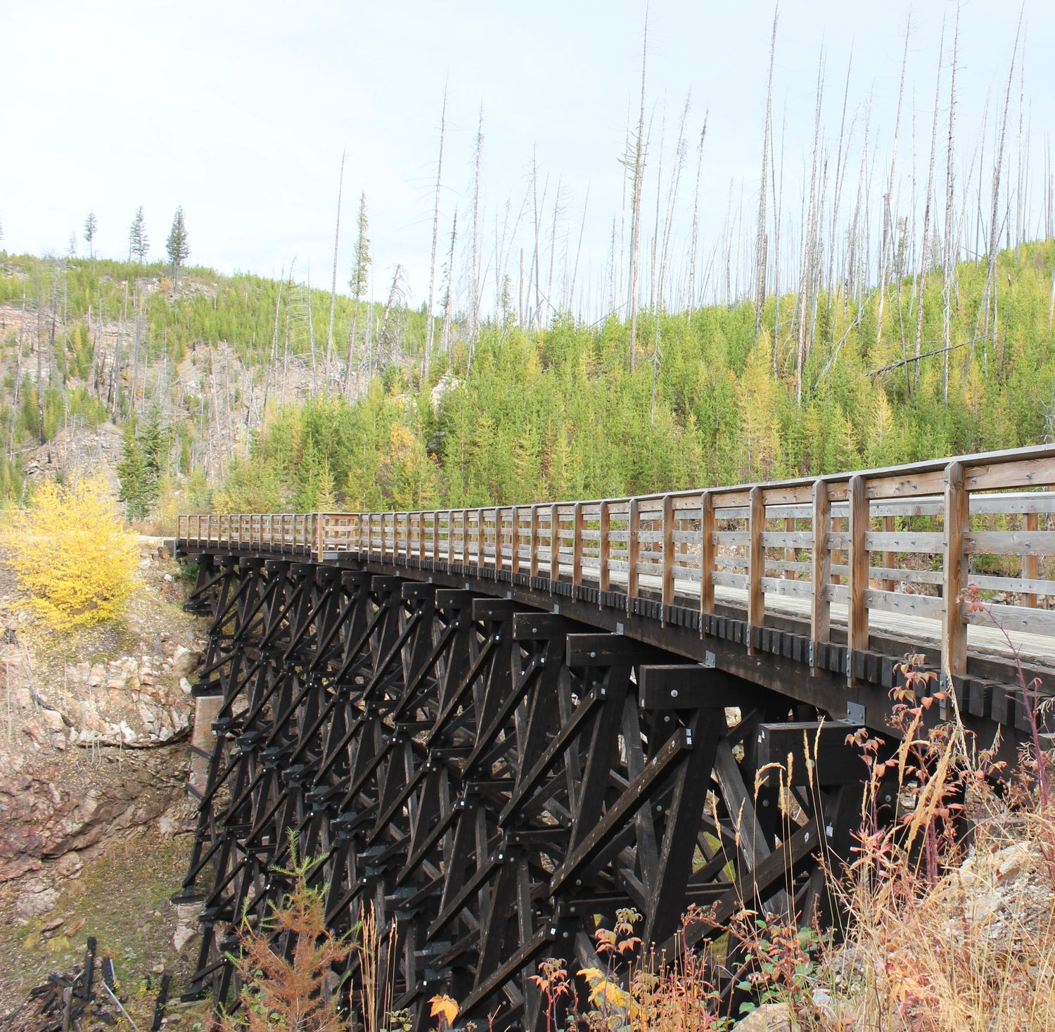 Rangelands Kelowna Hats